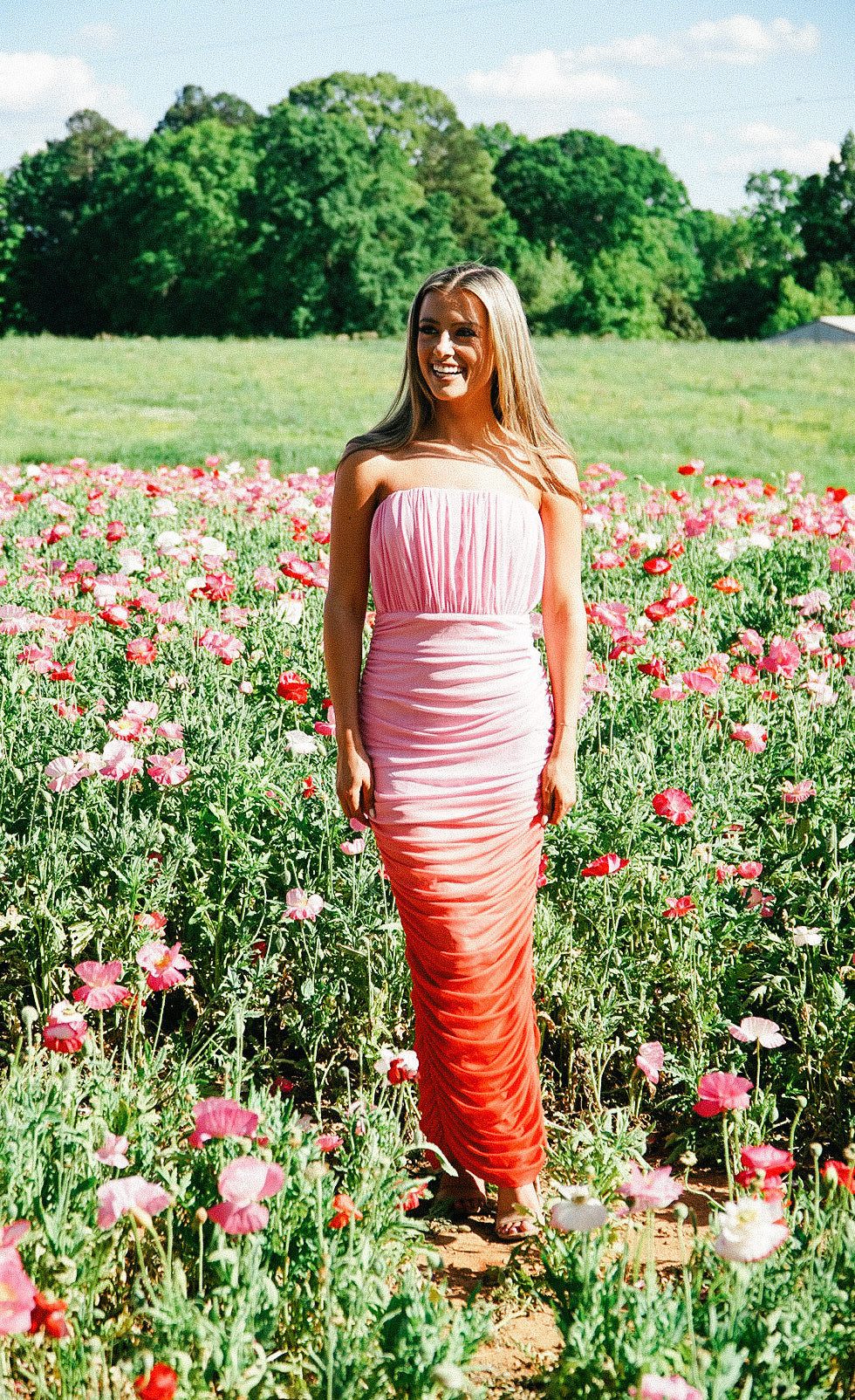 Poppy Fields Ombre Bodycon Dress Hope E Boutique